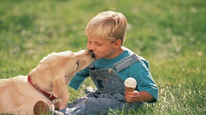 um menino pega minhocas de um cachorro