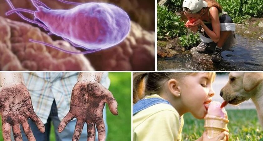 Fontes de infecção