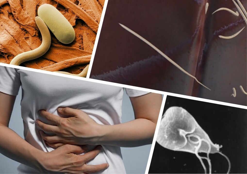 Parasitas no corpo humano