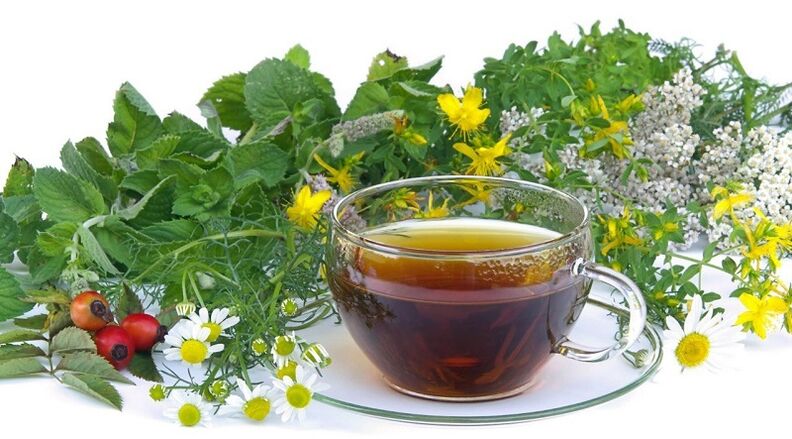 chá de ervas para remover parasitas do corpo
