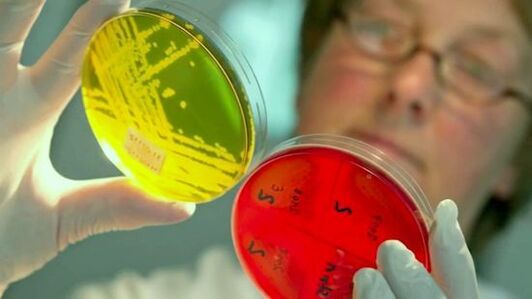 Investigação de testes para detecção de parasitas no corpo humano